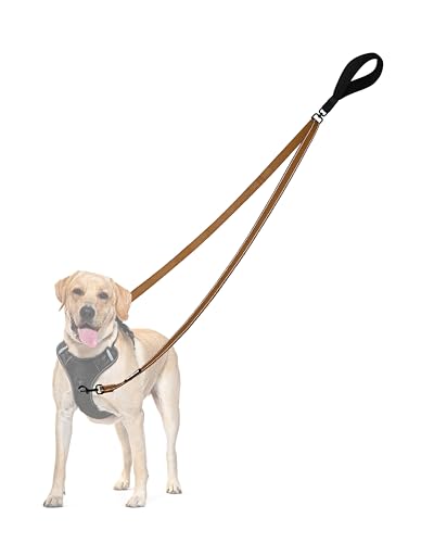 Two Point Control Dog Leash (Brown)