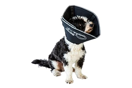 Comfy Cone Pet Cone for Dogs (Black / XL(Neck to Nose 12"))