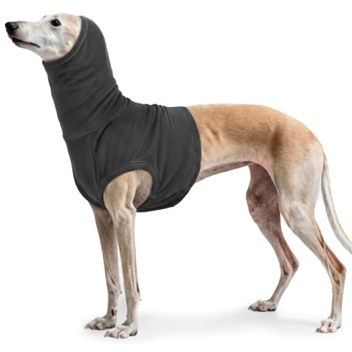 Dog Snood Post Surgery (Darkgrey / XL(Chest: 27.6"))