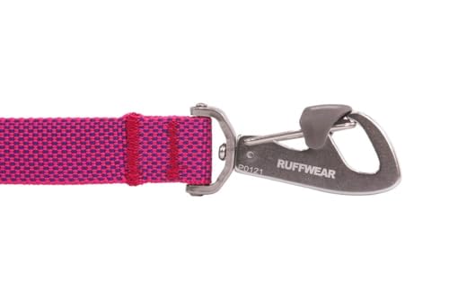 Flagline Dog Leash (Alpenglow Pink / One Size)