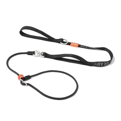 Slip Lead Dog Leash (Black / 5.5FT)