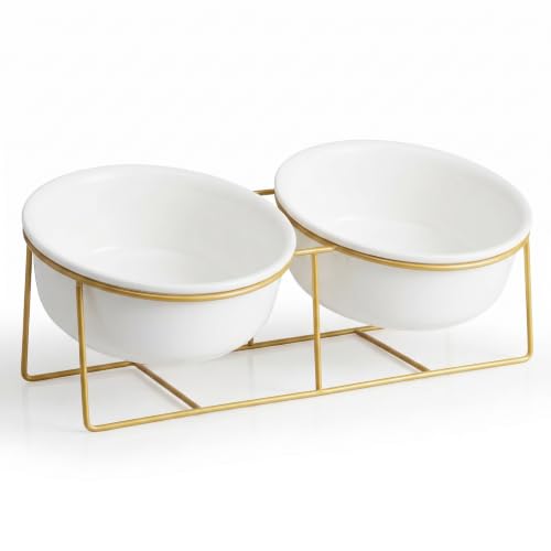 Large Small Double Elevated Dog Bowls (Large / White×2)