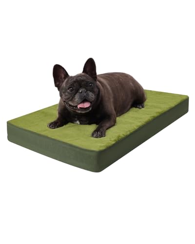 Orthopedic Dog Bed for Small Dogs with Waterproof Lining (Green / 23.0"L x 17.0"W x 3.0"Th)