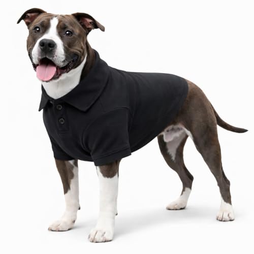 Basic Dog Polo Shirts Premium Cotton (XL (-35lbs) / Black)