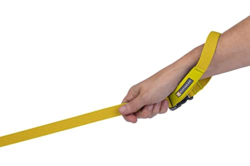 Flagline Dog Leash (Alpenglow Pink / One Size)