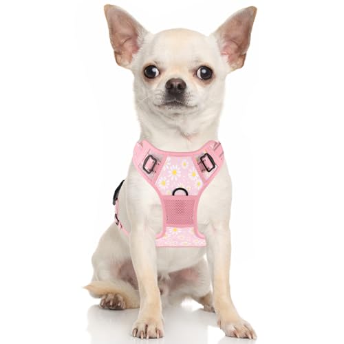 No Pull Dog Harness (Pink Floral / X-Small)
