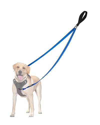 Two Point Control Dog Leash (Blue)