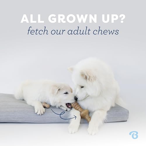 Puppy 2 Pack Dental Chew (Puppy (2-Pack))