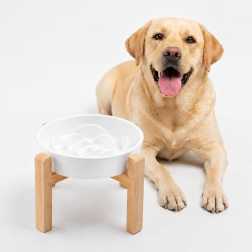 Ceramic Slow FeederDog Bowl for Medium Large Dogs (White / 8.66in)