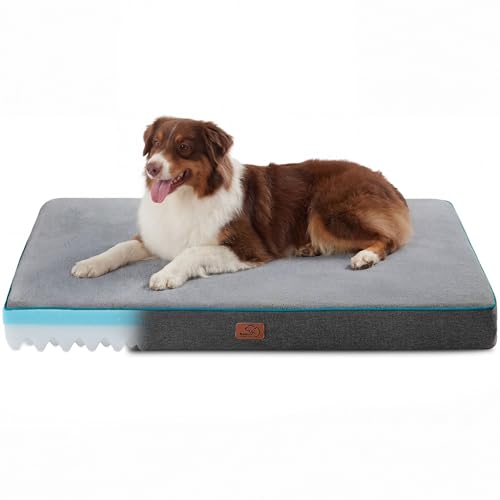 Memory Foam Dog Beds Large Sized Dog (35"L x 22"W x 3"Th / Grey)