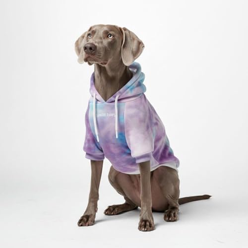 Dog Hoodie Buttery (90s Retro Sky Dye / 3XL)