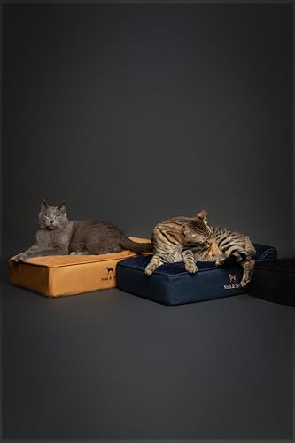 Small Dog Bed (Vegan Leather - Green / Small)