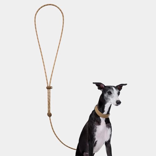 Crossbody Hands Free Dog Leash (Coffee Brown)