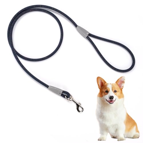 5FT Nylon Waterproof Dog Leash (Blue-B)