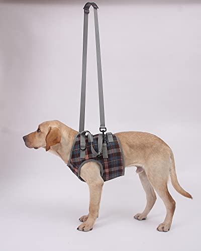 Shoulder Belt Strap for Dog Lift Harness (F / Shoulder Strap)