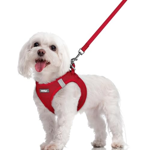 Dog Harness Medium Sized and Leash Set (Red / M (chest: 16 - 18.5"))
