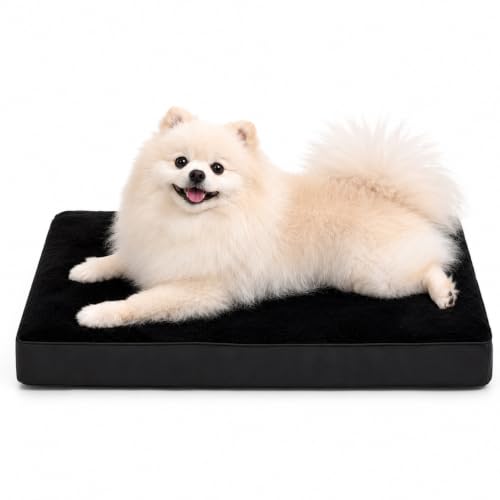 Waterproof Small Dog Bed for Crate with Washable Cover (23.0"L x 17.0"W x 3.0"Th / Black)