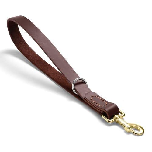 Leather Dog Leash (1.0 ft L x 1.0 in W)