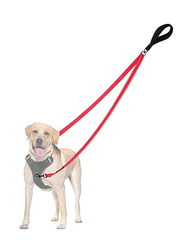 Two Point Control Dog Leash (Red)