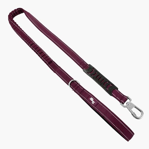 Bungee Dog Leash (Burgundy / Regular)