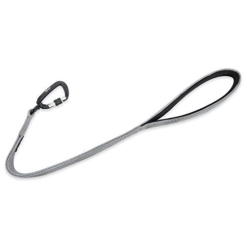 Short Dog Leash 24" (Sleet Gray / 24 Inches)