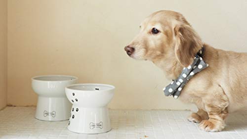 Necoichi Raised Dog Food Bowl (Regular)