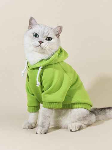 Basic Dog Hoodie Sweatshirt Puppy Sweater Warm Cat Costumes Pet Clothes for Chihuahua Puppy Kitten Small Medium Dogs Green Small (Small / Green)