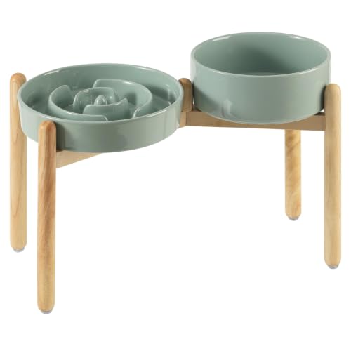 Elevated Slow Feeder Dog Bowls (Light Green)