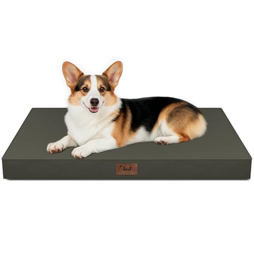Outdoor Waterproof Orthopedic Dog Bed for Large Dogs (Brown / 36.0"L x 27.0"W x 3.0"Th)