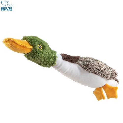 Interactive Squeaky Dog Chew Toy (Duck (Mystery Box) / Large)