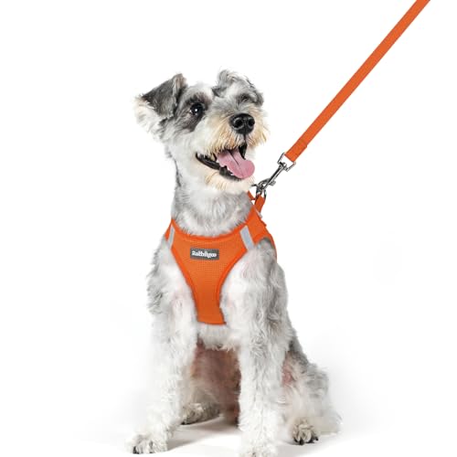 Dog Harness Medium Sized and Leash Set (Orange / Xl (chest: 20 - 21.8"))