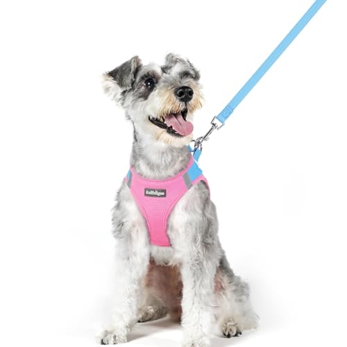Dog Harness Medium Sized and Leash Set (Blue & Light Pink / Xl (chest: 20 - 21.8"))