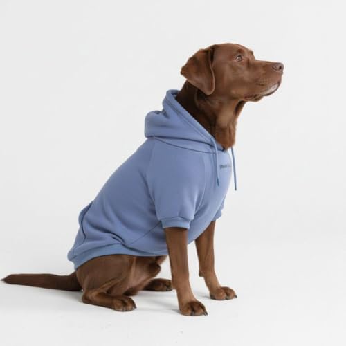 Dog Hoodie Buttery (Slate Blue / 3XL)
