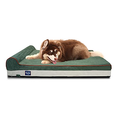 Orthopedic Dog Beds for Large Dogs (46 x 28 x 8 in (Pack of 1) / Dark Green)
