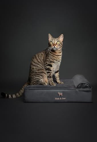 Small Dog Bed (Vegan Leather - Charcoal / Small)