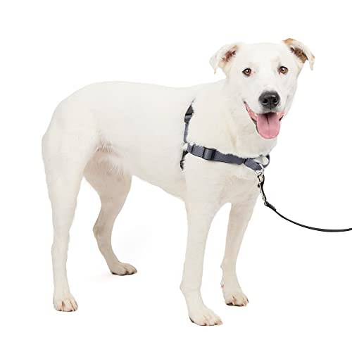 Easy Walk Deluxe Dog Harness (Medium/Large / Steel)