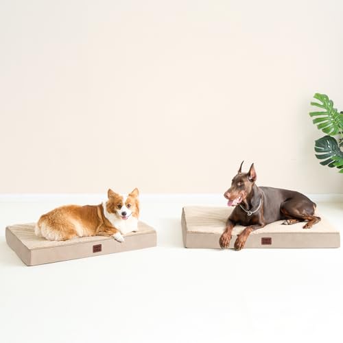 Orthopedic Dog Bed Large with Removable Washable Cover (41*27*3.5 inches / khaki)