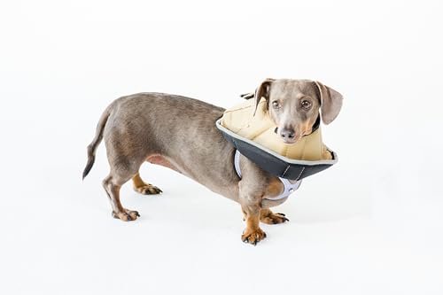 Comfy Cone Pet Cone for Dogs (Tan / SL(Neck to Nose 8"))