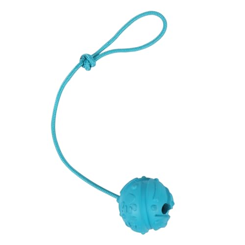 Dog Training Ball on Rope (2pcs blue)