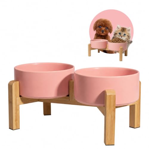 Elevated Ceramic Dog Bowl (Pink / Small)