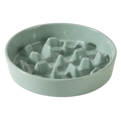 Ceramic Slow Feeder Dog Bowls (Light Green)