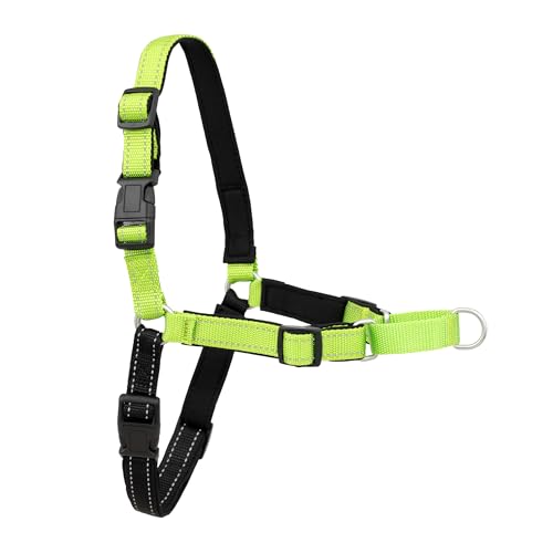 Easy Walk Deluxe Dog Harness (Large / Apple Green)