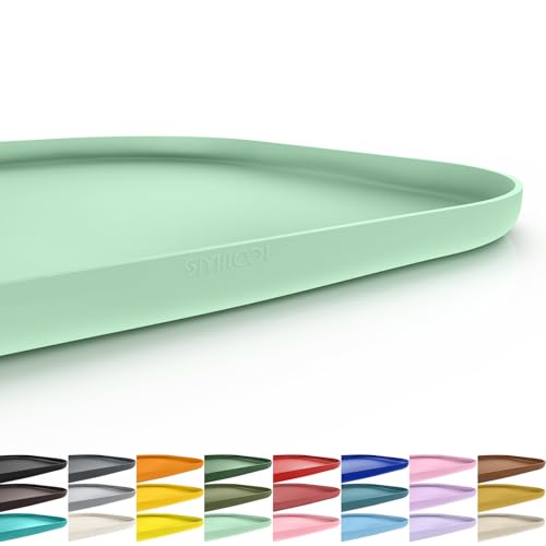 Waterproof Silicone Pet Food Mat with Raised Edge for Dog & Cat (Mint Green / 19"L x 12"W)
