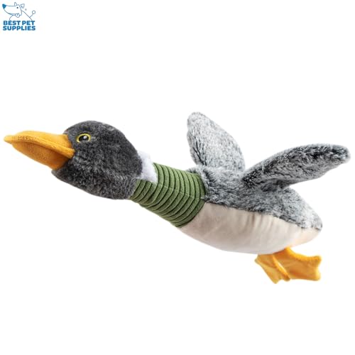 Interactive Squeaky Dog Chew Toy (Duck (Mystery Box) / Large)