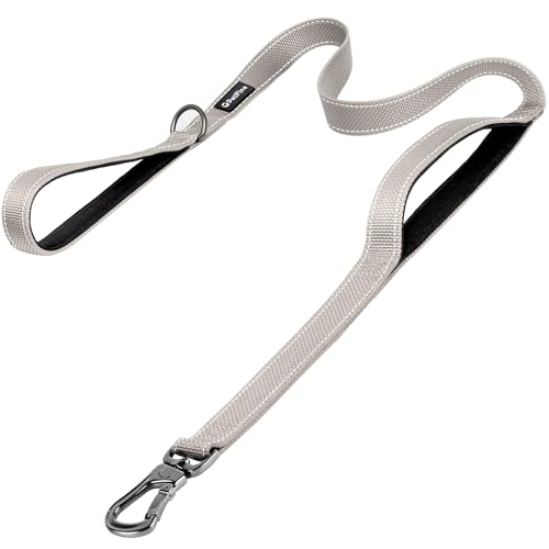 6FT Heavy Duty Dog Leash with Soft Padded Double Handle (6 FT x 1 in Wide / Grey)