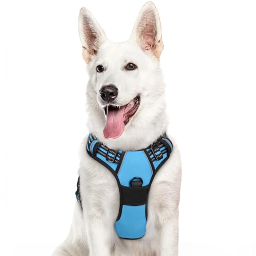 Dog Harness for Large Dogs (X-large / Sky Blue)