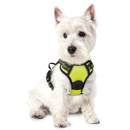 Dog Harness No Pull with 2 Leash Clips (X-Small / Wild Lime)