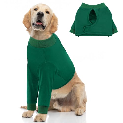 Dog Recovery Suit for Front Legs (Large / Green)