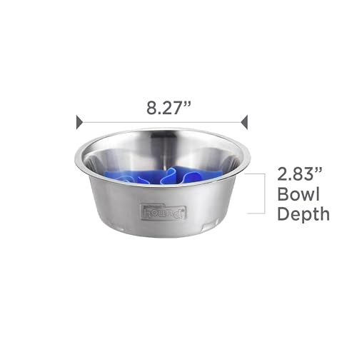 Fun Feeder Stainless Steel Slo Bowl for Dogs (Stainless Steel / Medium)