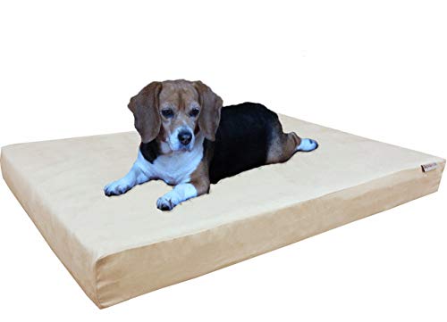Orthopedic Memory Foam Dog Bed with Suede Khaki Cover (41X27X4 Inch Large / MicroSuede in Khaki)